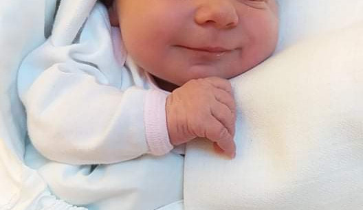 Stella Niedojedlová