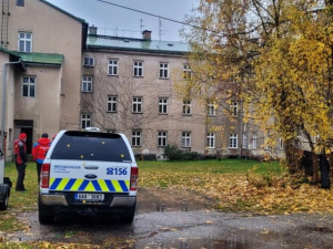 Cvičení kynologů horské služby v Krkonoších