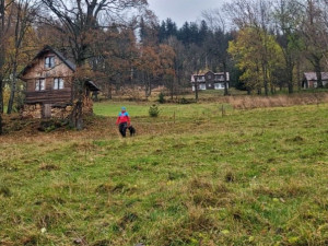 Cvičení kynologů horské služby v Krkonoších