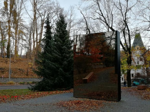 Pole vlčích máků v Liberci