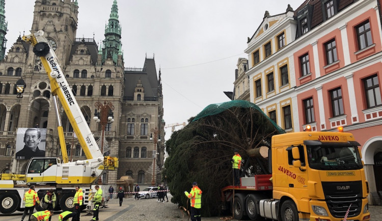 Vánoční strom už je na náměstí