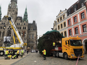 Vánoční strom už je na náměstí