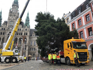 Vánoční strom už je na náměstí