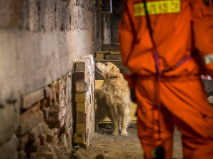 Část bývalé továrny ve Smržovce se proměnila v unikátní polygon.