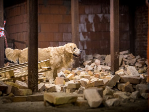 Část bývalé továrny ve Smržovce se proměnila v unikátní polygon.