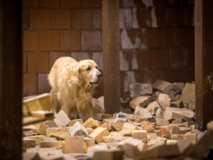 Část bývalé továrny ve Smržovce se proměnila v unikátní polygon.