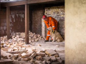 Část bývalé továrny ve Smržovce se proměnila v unikátní polygon.