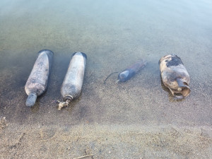 Požár Slunečních lázní