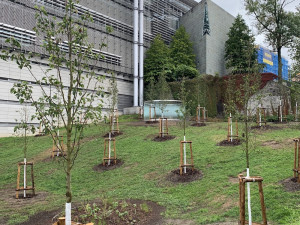 Památník padlým policistům