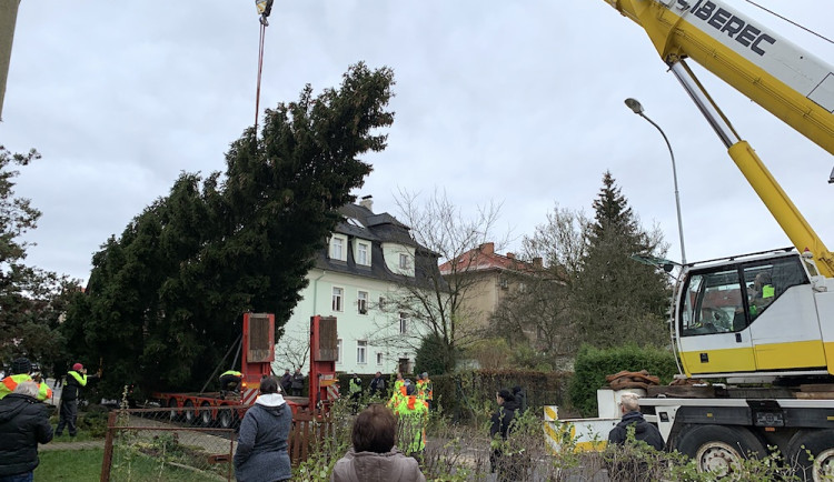 Liberecký vánoční strom