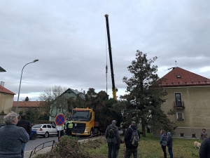 Liberecký vánoční strom