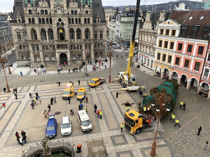 Liberecký vánoční strom