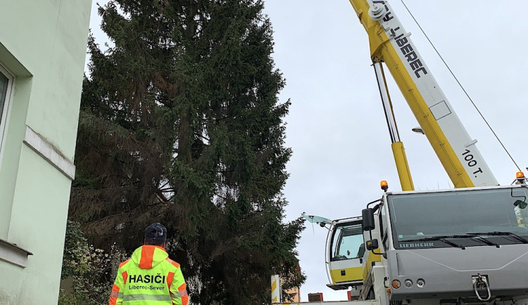 Liberecký vánoční strom