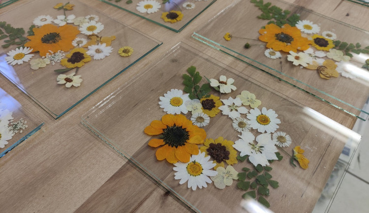 Veronika s Petrem vyrábí úchvatné obrazy z lisovaných květin. Na výlety chodíme s batohy plných knih, říkají