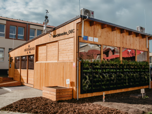 Archimedes je unikátní celosvětový projekt sítě digitálně propojených učeben, v nichž žáci základních škol a dalších vzdělávacích institucí studují zejména přírodní vědy.