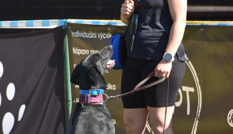 Výcvikový tábor ve Sloupu v Čechách