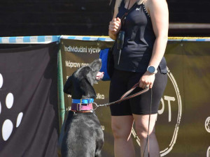 Výcvikový tábor ve Sloupu v Čechách