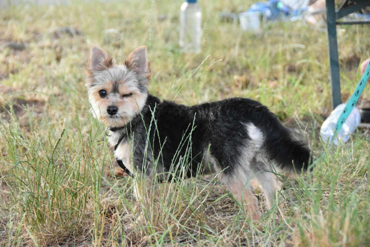 Výcvikový tábor ve Sloupu v Čechách