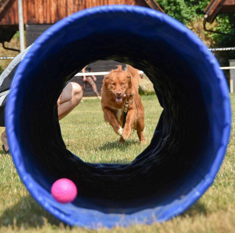 Výcvikový tábor ve Sloupu v Čechách