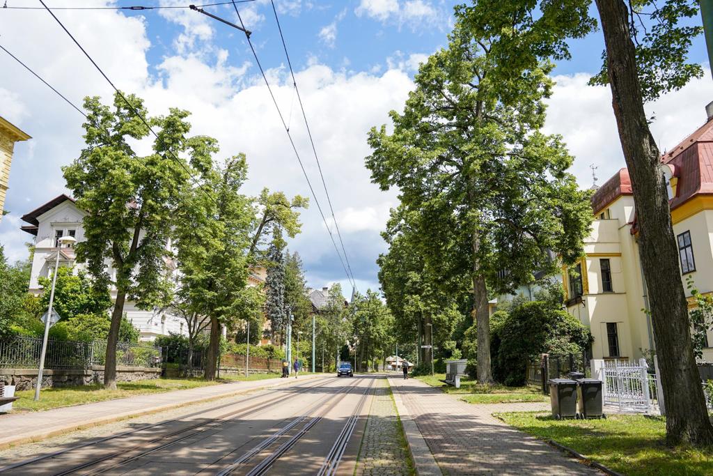 Měření stavu stromů na Masarykově třídě v Liberci