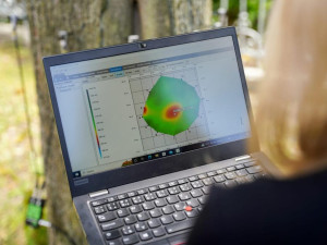 Měření stavu stromů na Masarykově třídě v Liberci