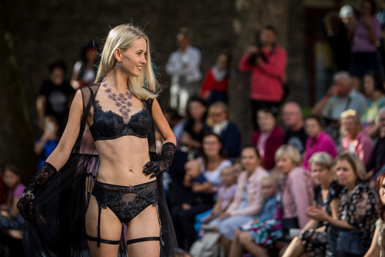 Křehká krása 2023