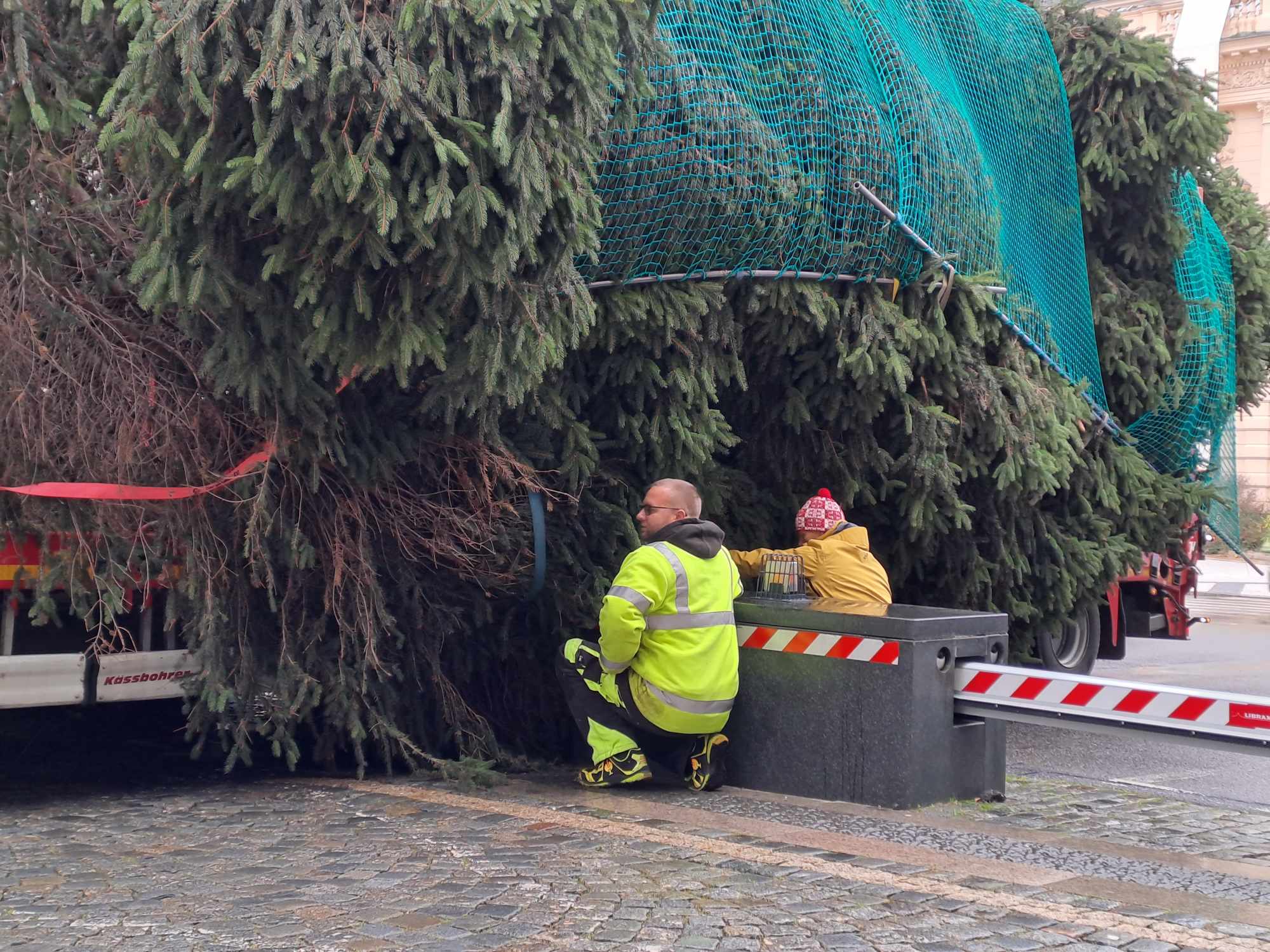 Vánoční strom dorazil před Libereckou radnici