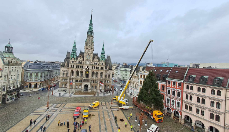 Vánoční strom dorazil před Libereckou radnici