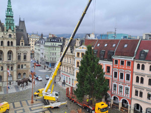 Vánoční strom dorazil před Libereckou radnici