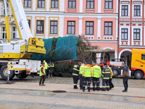 Vánoční strom dorazil před Libereckou radnici