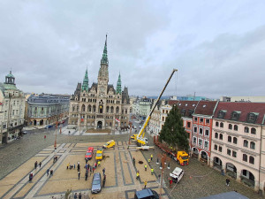 Vánoční strom dorazil před Libereckou radnici