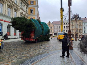 Vánoční strom dorazil před Libereckou radnici