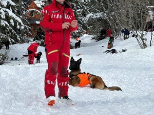 Cvičení kynologů hasičského záchranného sboru v Tatrách