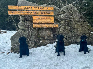 Cvičení kynologů hasičského záchranného sboru v Tatrách