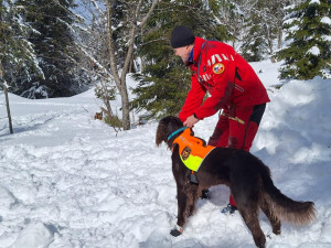 Cvičení kynologů hasičského záchranného sboru v Tatrách