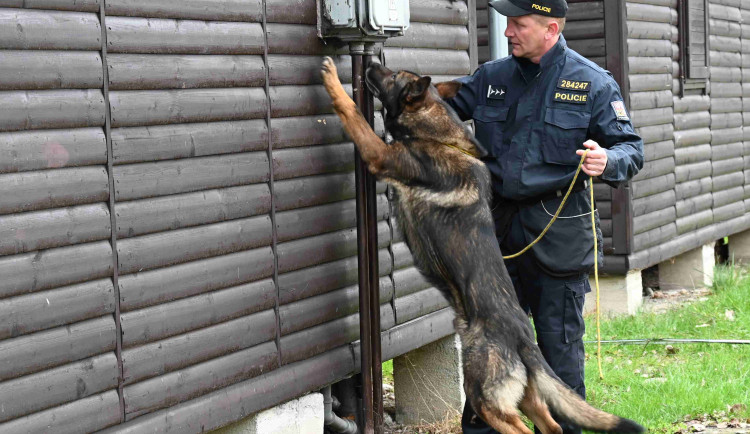Soutěž psích specialistů na vyhledávání výbušnin a drog