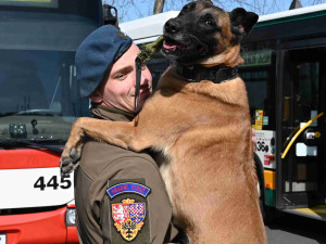 Soutěž psích specialistů na vyhledávání výbušnin a drog