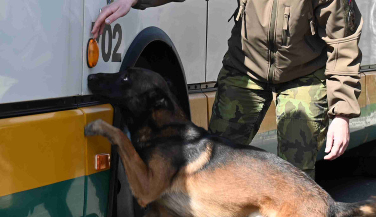 Soutěž psích specialistů na vyhledávání výbušnin a drog