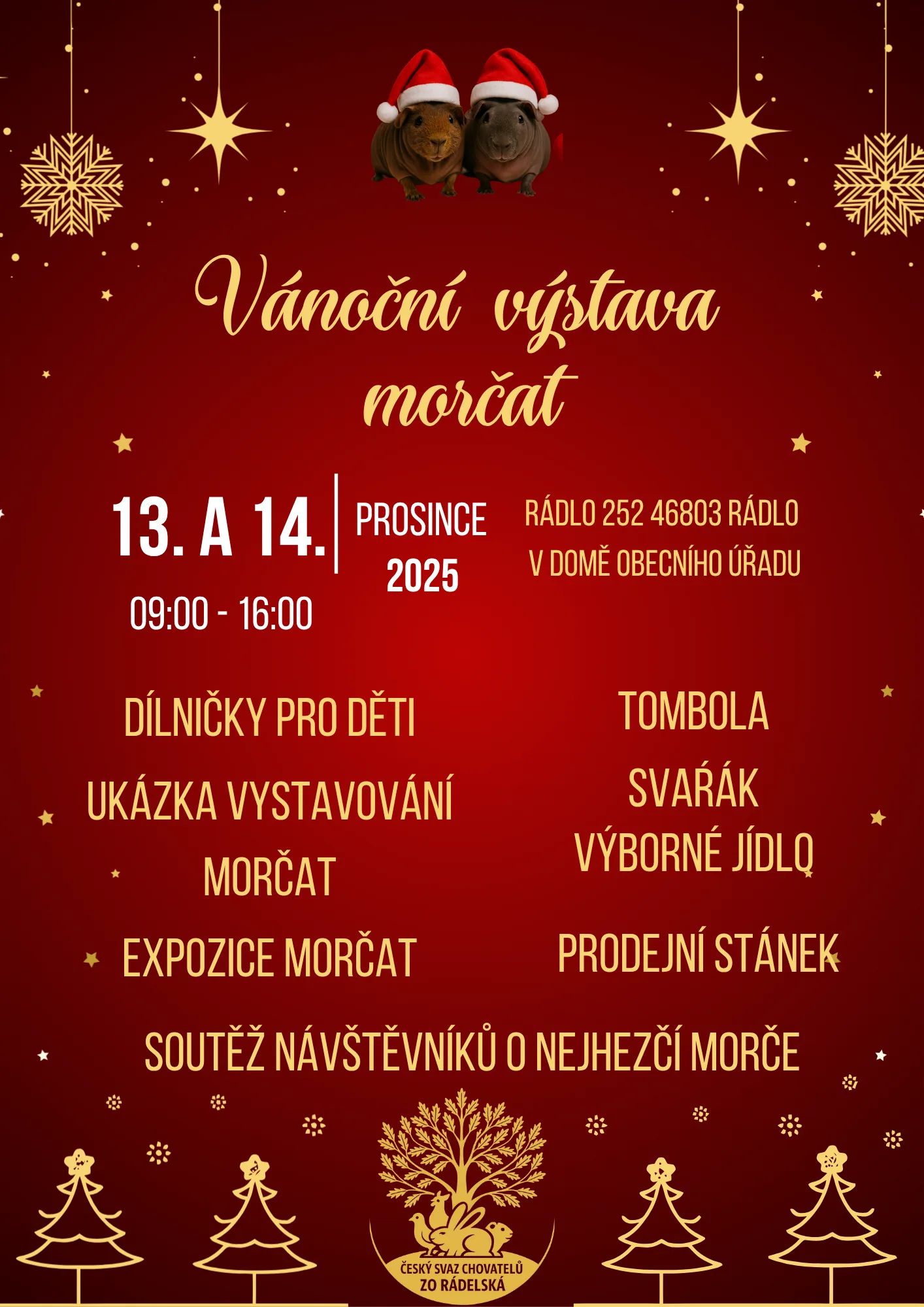 Výstava ušlechtilých morčat v obci Rádlo