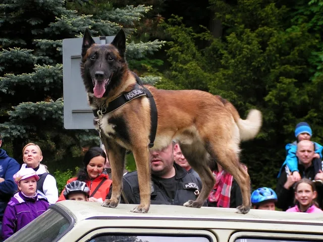 Den s městskou policií. Foto: Karel Došek