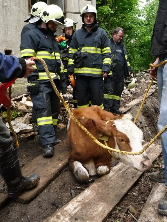 Jalovici tahali hasiči z potoka