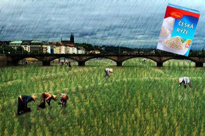 Že by budoucnost českého zemědělství...