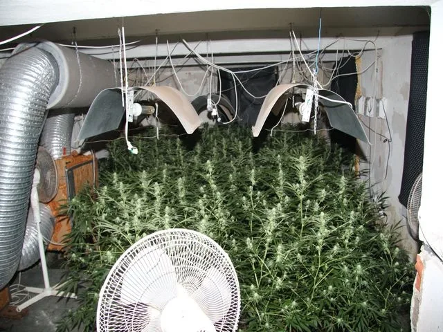 Pěstírna konopí. Foto: Policie ČR