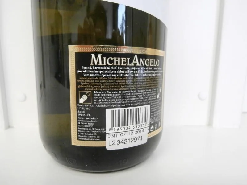Michelangelo. Foto: SZPI