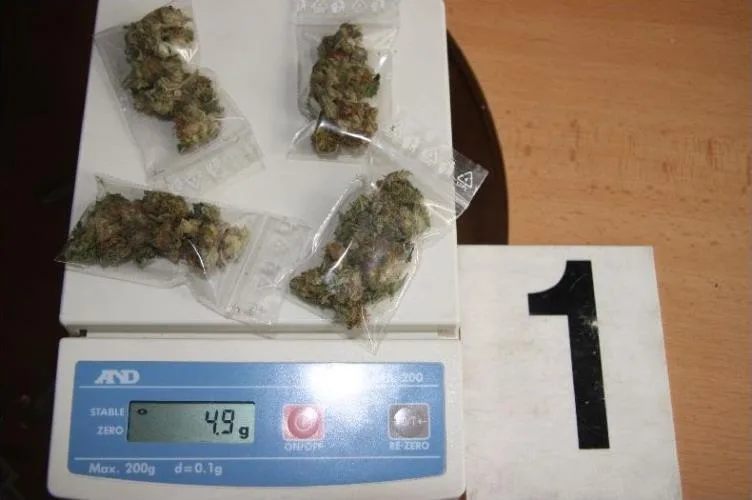 Zabavená marihuana. Foto: Policie ČR