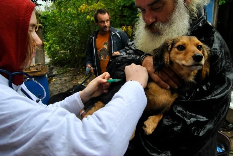Veterináři bez hranic budou očkovat i v Liberci. Foto: Vsf-cz.eu