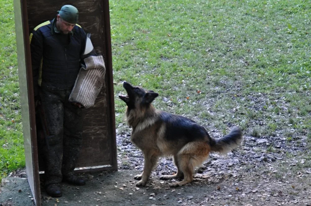 Soutěž v Pavlovicích