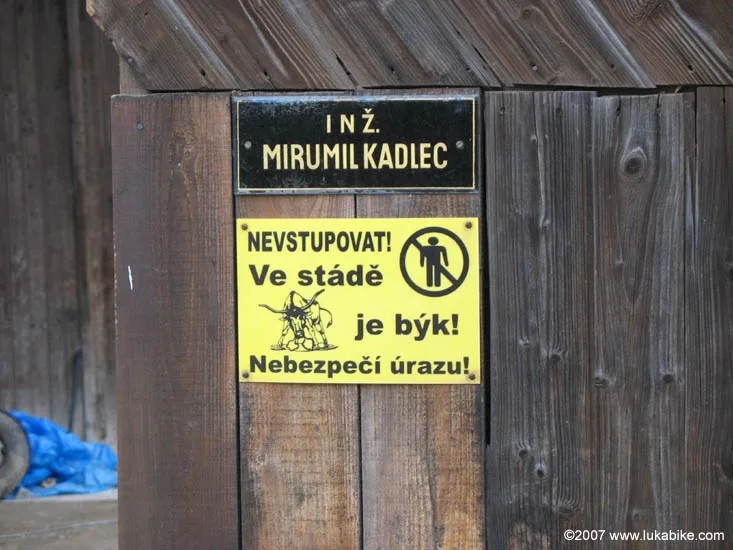 Zloději se evidentně tunového zvířete nebáli. Ilustrační foto: Lukabike.cz