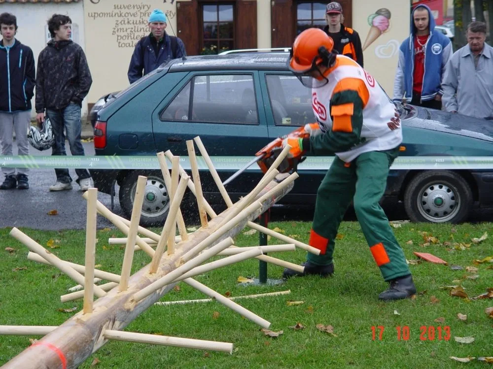 Hejnický dřevorubec 2013. Foto: Jiří Langer