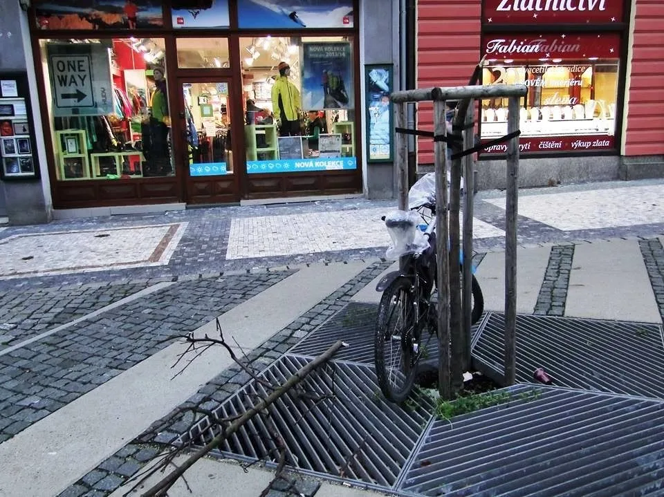 Strom kdosi zlomil přímo nad ohrazením.